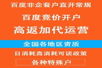 百度SEM广告投放的创意与执行：成功案例详解
